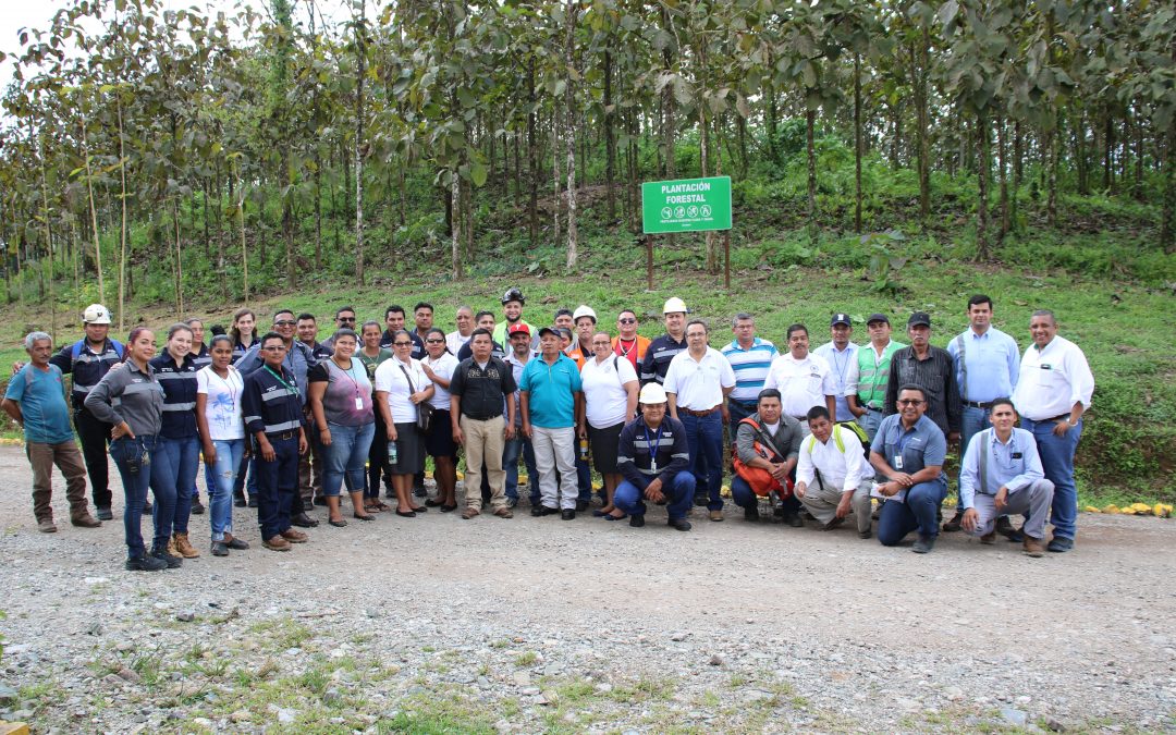 Alianza verde: HEMCO y mineros artesanales reforestarán puntos de trabajo