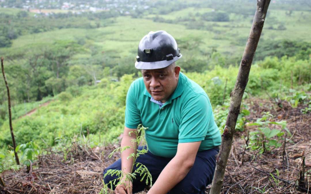 Primeros frutos del convenio de reforestación con la minería artesanal