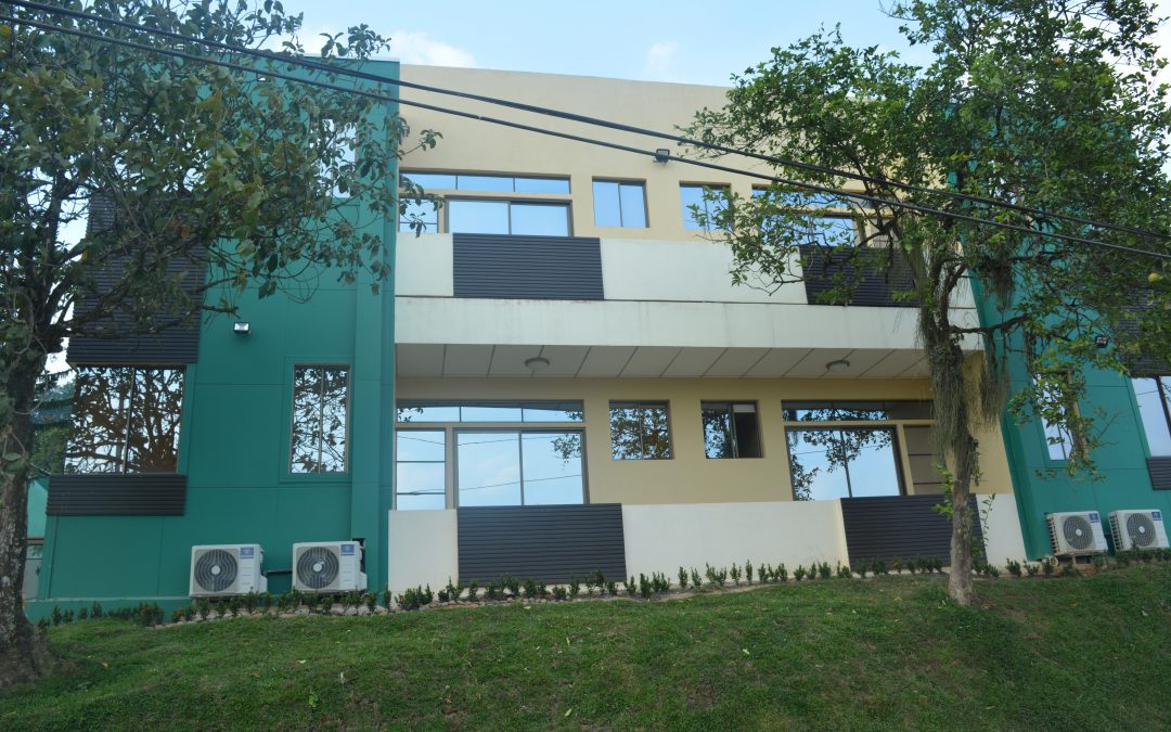 Nueva casa de huéspedes y piscina