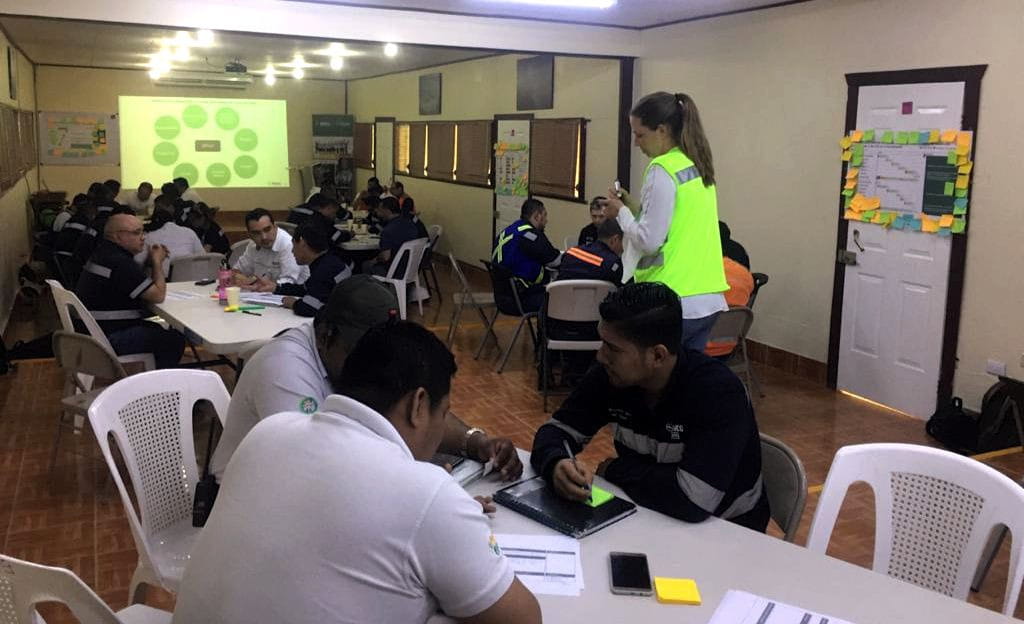 Proyecto Alquimia