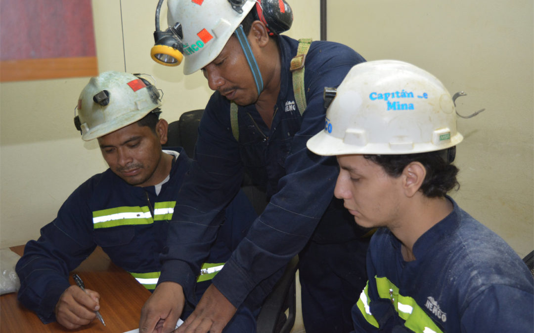 Avances del proyecto PASOS
