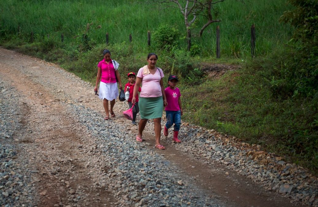 PODU mejora vías de acceso a comunidades rurales